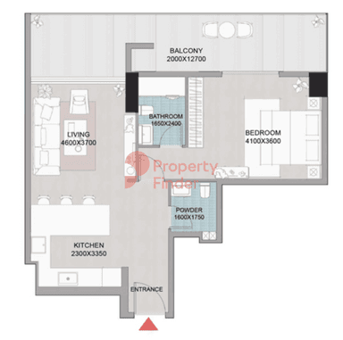 1 Bedroom Apartment