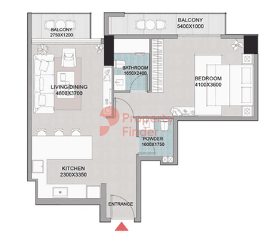 1 Bedroom Apartment
