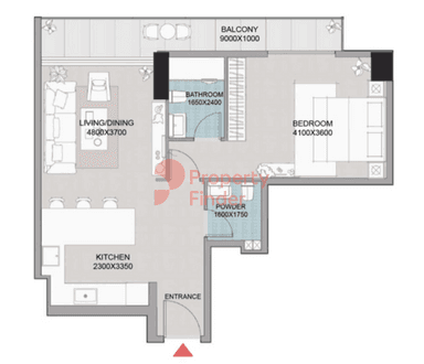 1 Bedroom Apartment