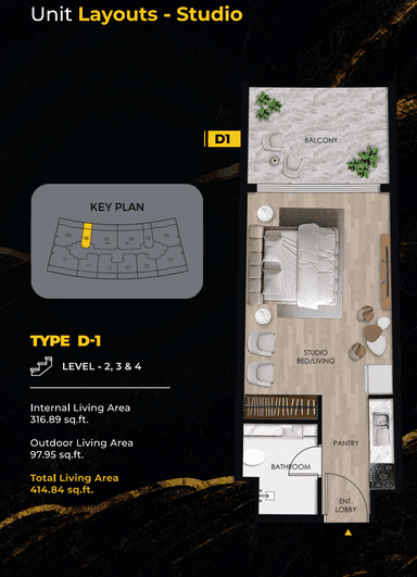 Type D1