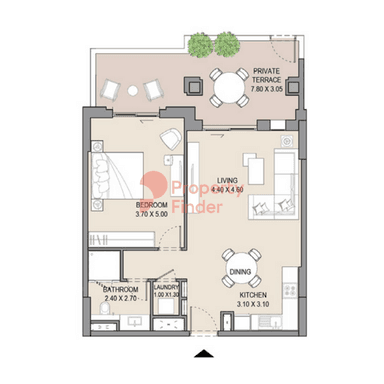 1 Bedroom Apartment