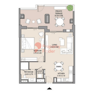 1 Bedroom Apartment