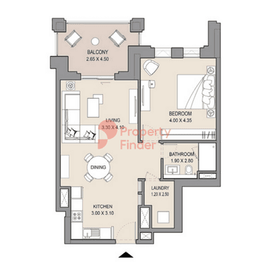 1 Bedroom Apartment