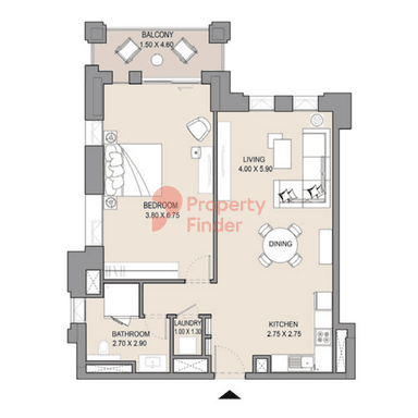 1 Bedroom Apartment