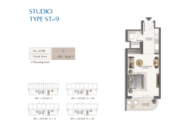 Type 9
