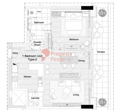 1 Bedroom Apartment