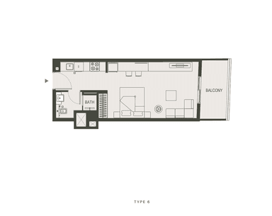 Type 6