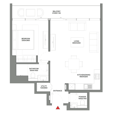 1 Bedroom Apartment