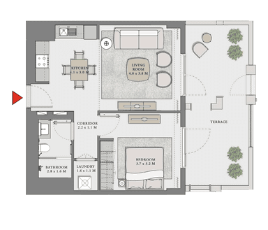 1 Bedroom Apartment
