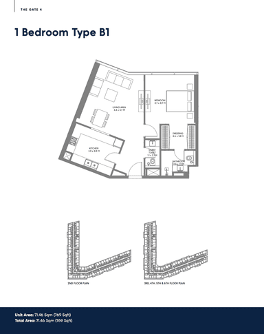 Type B1