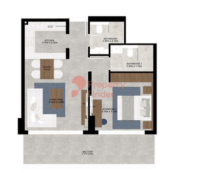 1 Bedroom Apartment