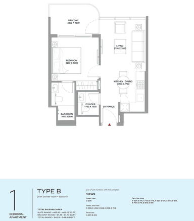 Type B